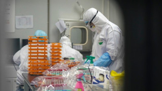 ΠΟΥ σε Τραμπ: Από ζώα προήλθε ο κορωνοϊός και όχι από εργαστήριο