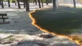 Φωτιά-μυστήριο σε πάρκο στην Ισπανία