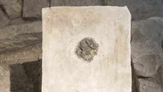 Μέση Ανατολή: Ανακαλύφθηκε ο αρχαιότερος «μπάφος»