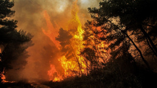 Χαλκιδική: Μάχη των πυροσβεστικών δυνάμεων με τη φωτιά στη Νικήτη