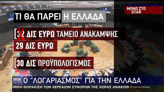 Σύνοδος Κορυφής: Πόσα παίρνει η Ελλάδα!