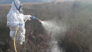 Ιός Δυτικού Νείλου: Εντατικοί ψεκασμοί σε περιοχές του νομού Σερρών
