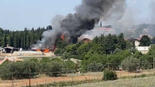 Φωτιά στην Αμερικάνικη Γεωργική Σχολή Θεσσαλονίκης