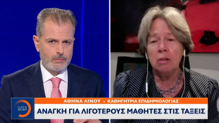 Κορωνοϊός - Λινού: «Μόνο η μάσκα δεν προστατεύει στον συνωστισμό και στα σχολεία»