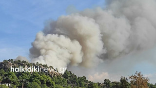 Φωτιά στη Χαλκιδική – Καίγεται πευκοδάσος στη Νικήτη!