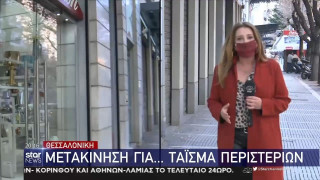ΑΠΙΣΤΕΥΤΟ: Μετακίνηση για... τάισμα περιστεριών στη Θεσσαλονίκη