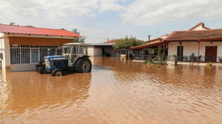 ΕΛΓΑ: Πληρώνει αύριο για «Ιανό», ΚΟΕ του 2016 και ζημιές του 2020