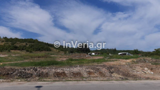 Βέροια: Συνελήφθησαν Ρομά για κορωνοπάρτι στον καταυλισμό Εργοχωρίου