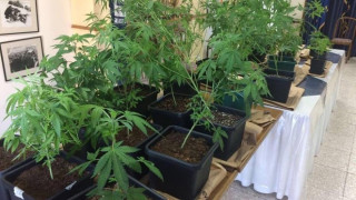 Σέρρες: Η ντουλάπα οδηγούσε σε... υπόγειο φυτώριο κάνναβης