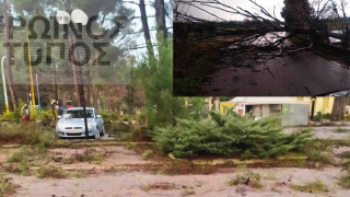 Δράμα: Ζημιές από τη βροχόπτωση - Έπεσαν δέντρα από τον αέρα