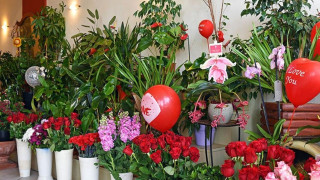 Με SMS στο 13033 στα ανθοπωλεία για του Αγ.Βαλεντίνου