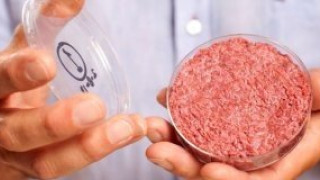 Μπιλ Γκέιτς: «Σύντομα θα επιβληθεί το συνθετικό κρέας, θα το συνηθίσετε...»