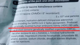 Ας μιλήσουμε λίγο για τα Γενετικά Τροποποιημένα Προϊόντα!