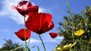 Θεσσαλονίκη: Τσικνοπέμπτη με ηλιοφάνεια και 17 βαθμούς θερμοκρασία