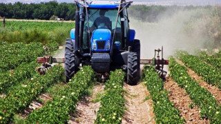 Νέοι αγρότες: Πώς θα... ξεκλειδώσουν επιδότηση έως 40.000 ευρώ