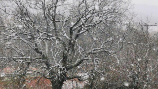 Χιόνια στα ορεινά της Θεσσαλονίκης!