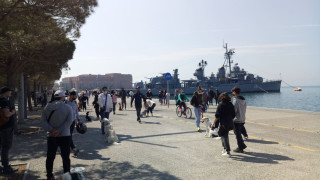 Μάθημα για τη συμπεριφορά σκύλων!