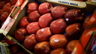 Ρεκόρ για τις εξαγωγές ελληνικών τροφίμων στη Γερμανία