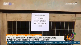 Ράδιο Αρβύλα: Το ρεπορτάζ της ΕΡΤ για τον σκύλο που υιοθέτησε ο Μητσοτάκης