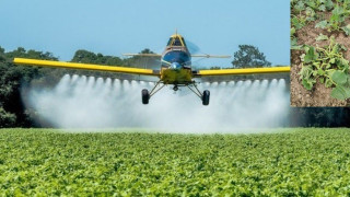 Έβρος: Ψεκάζουν με επικίνδυνα φυτοφάρμακα οι Τούρκοι, καταστρέφουν καλλιέργειες