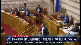 Χρυσή Αυγή: Παράθυρο για επιστροφή στην πολιτική αφήνει το Σύνταγμα