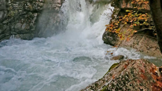 Τρίκαλα: Έριξαν το 1980 στον ποταμό αυτό το μπουκάλι και 41 χρόνια μετά το βρήκαν!
