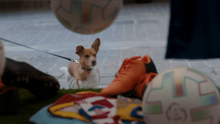 O πιο πιστός φίλος του Euro είναι ο... Rex της Stoiximan (Video)