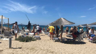 Ο απρόβλεπτος «Διάβολος Σκόνης» που έπληξε τη Χαλκιδική