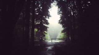 Θεσσαλονίκη-Ντίσελντορφ-Άρνεμ- Όοστερμπεκ (pics)