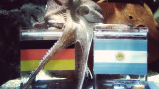 Υπόθεση ψυχής