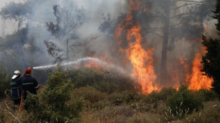 Θάσος: Ανεξέλεγκτο το μέτωπο της φωτιάς