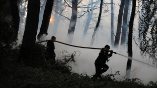 Φωτιές σε Μεσσηνία – Αρκαδία: Οι φλόγες απειλούν τα χωριά της Μεγαλόπολης