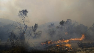 Λέκκας – Περίπου 500.000 στρέμματα καταστράφηκαν