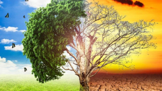 Κλιματική αλλαγή: Νέα πραγματικότητα μεγάλοι καύσωνες και πυρκαγιές