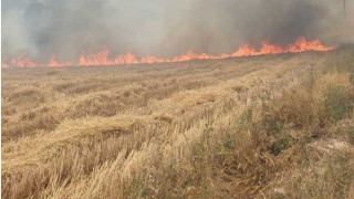 Κοζάνη: Διαρκής «μάχη» με την πυρκαγιά στη Ζωοδόχο Πηγή!