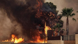 Viral: Ο δεκάλογος πυρόπληκτης από το Μάτι «οδηγός βοήθειας» στους πληγέντες