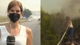 Σάλος με την ανάρτηση του προέδρου φαρμακοποιών για ρεπόρτερ σε πυρκαγιές