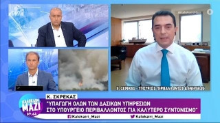 Σκρέκας: Κηρύσσονται αναδασωτέες μέσα σε 30 ημέρες οι περιοχές που κάηκαν