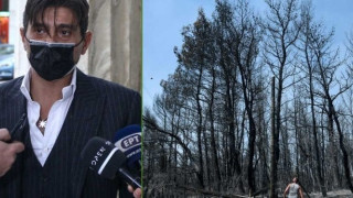 Γιαννακόπουλος: «Η χοντρή κομπίνα είναι στην αναδάσωση, ζούμε τον πόλεμο των κλώνων»