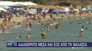 Χαλκιδική: Το αδιαχώρητο μέσα και έξω από τη θάλασσα