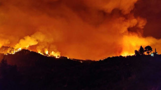 Πυρκαγιές: Ελεύθερος ο 14χρονος για την υπόθεση εμπρησμού στον Θεολόγο