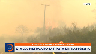 Φωτιά: Οι φλόγες περικύκλωσαν το χωριό Βίλια