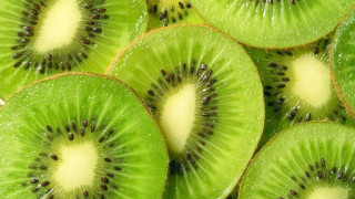 Βέροια: Καταγγελίες για παράνομη συγκομιδή ακτινιδίων!