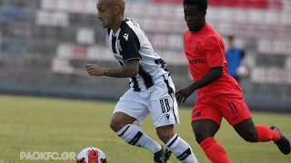 Βέροια-ΠΑΟΚ: Η ευκαιρία του Μιτρίτσα