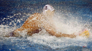 Τα δέκα εισιτήρια για την Τελική Φάση Μίνι Παίδων