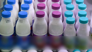 Η «τροφή του μέλλοντος» παρασκευάζεται στην Ελλάδα