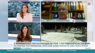 Παπαδόπουλος για τον σεισμό στην Κρήτη: «Ενεργοποιήθηκε τμήμα ρήγματος στη Θήβα»