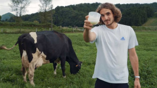 Ο Στέφανος Τσιτσιπάς άρμεξε αγελάδα στις Αζόρες