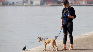 Κορωνοϊός - Ελλάδα: Μείωση κρουσμάτων και μικρή αύξηση θανάτων