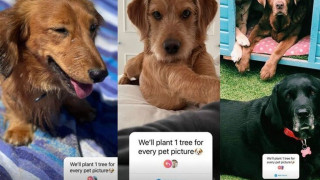 Viral εκστρατεία στο Instagram είναι τελικά απάτη!